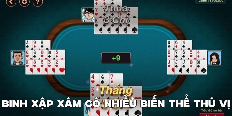 Binh xập xám có nhiều biến thể thú vị