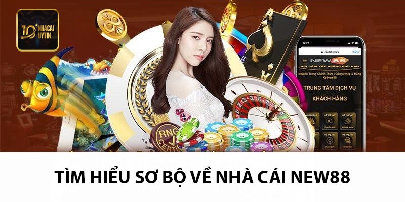 Tìm hiểu sơ bộ về nhà cái New88